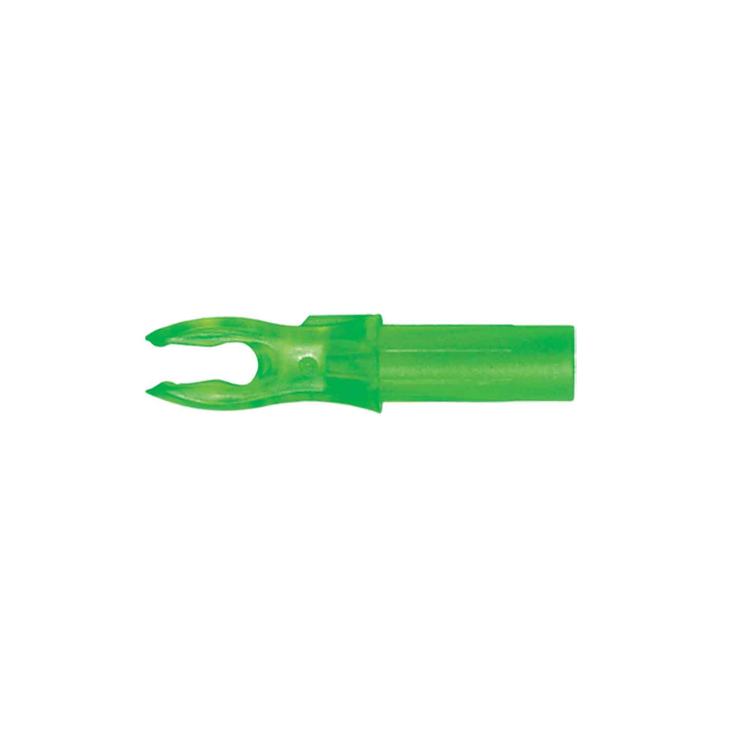 Kiwi Green