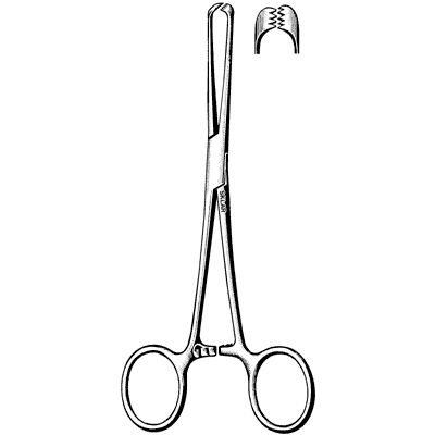 Allis Tissue Forceps 6