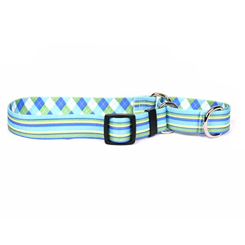 Blue & Green Stripes w/Argyle
