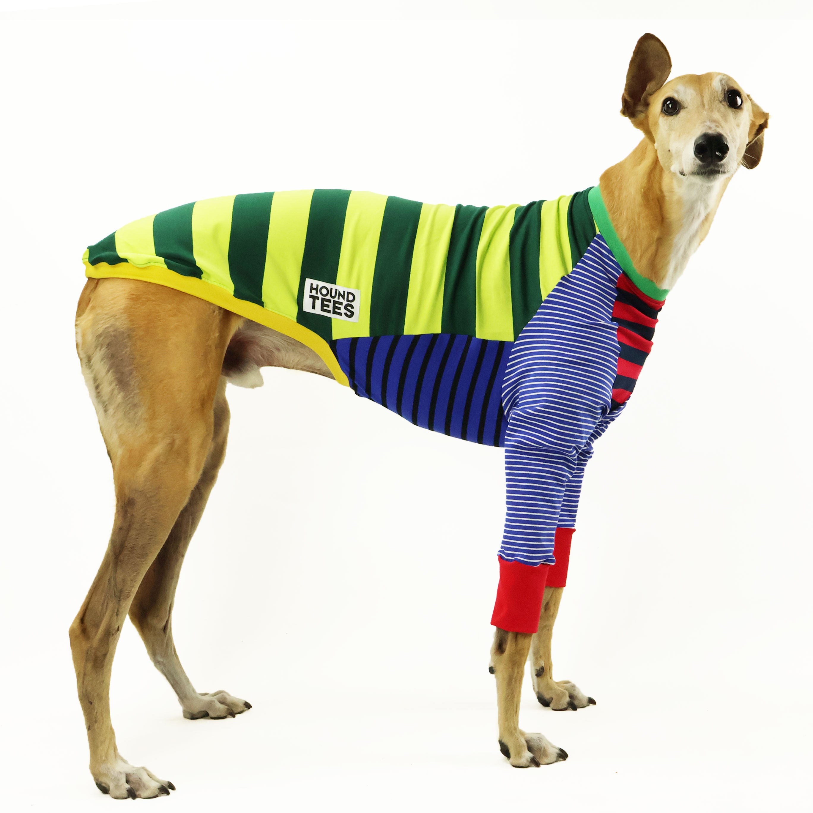 Frankie Greyhound Long Sleeve Dog T-Shirt - Soft Cotton Pet Apparel for Small & Medium Dogs - Perfect for Walks, Photos & Doggy Playdates