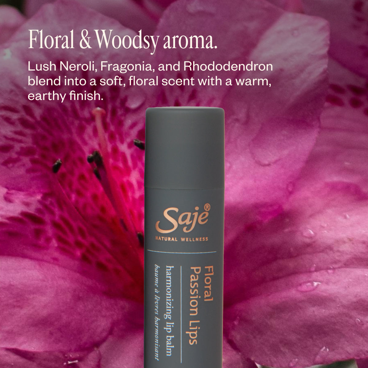 Nourishing Lip Balm Trio Set - Hydrating & Moisturizing Lip Care for Dry Lips - Perfect for Daily Use, Travel & Gifting