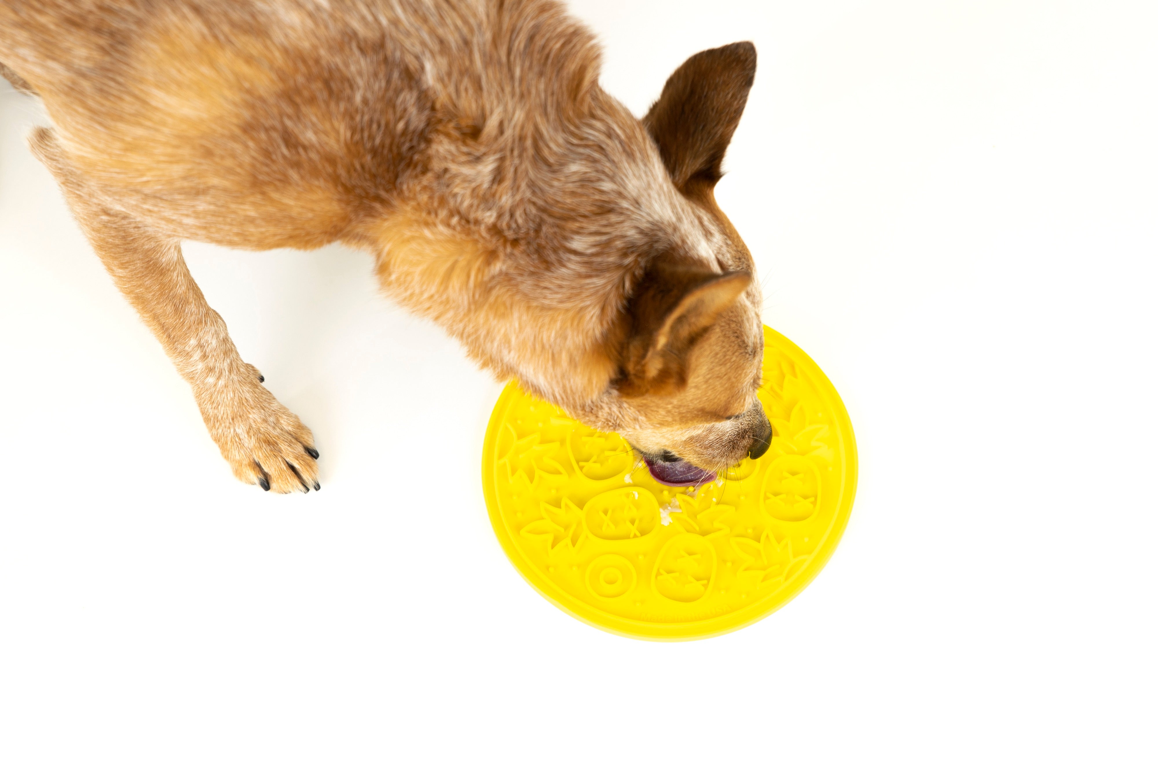EverLick Slow Feeder Mat for Dogs and Cats - Avocado (Small) & Pineapple (Large) | Pet P.L.A.Y. - Interactive Puzzle Toy for Mealtime Fun & Mental Stimulation