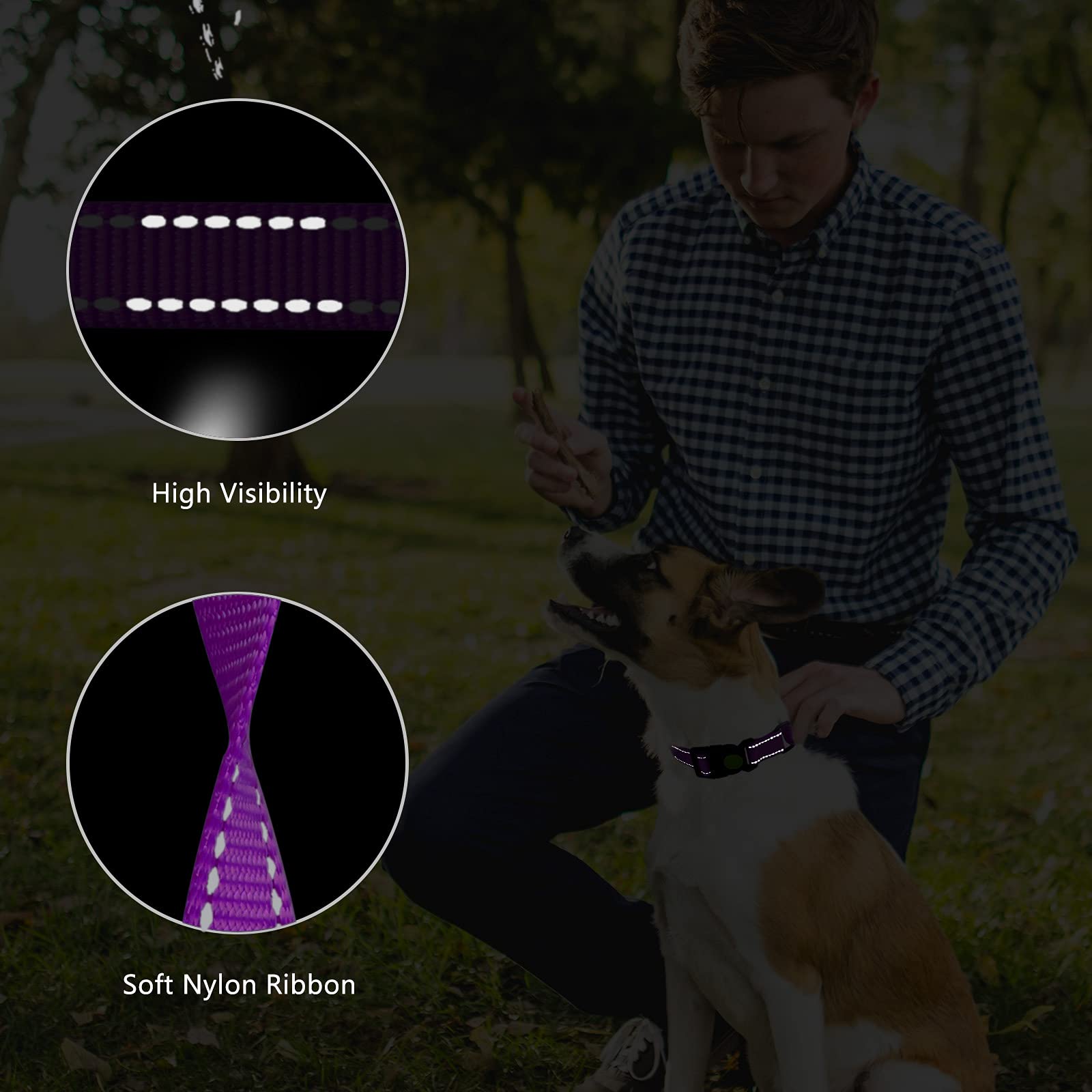 Martingale Dog Collar and Leash Set - Reflective Adjustable Training Collar for Small, Medium & Large Dogs (Purple, Large) - Perfect for Walking, Training & Nighttime Safety
