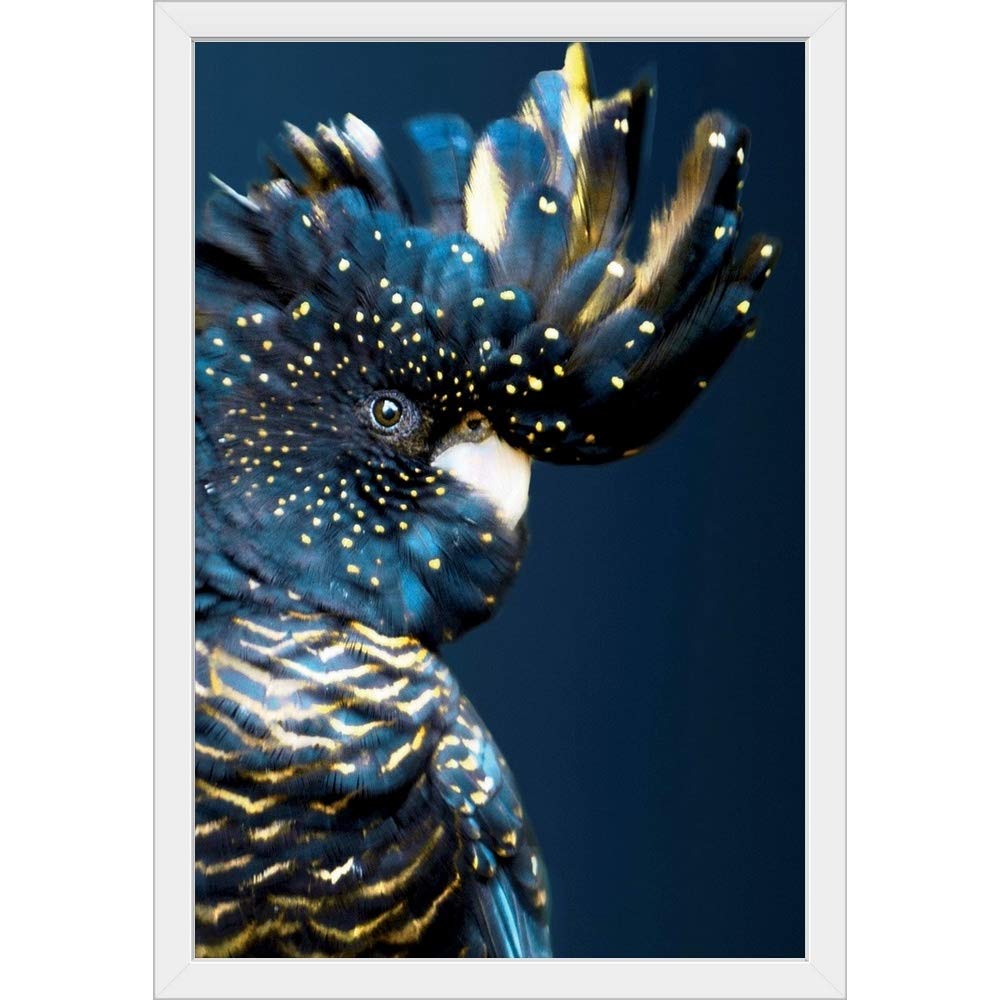 White Cockatoo Framed Art Print - Stunning Bird Wall Art Decor for Living Room, Bedroom & Office | Premium Quality Canvas Painting