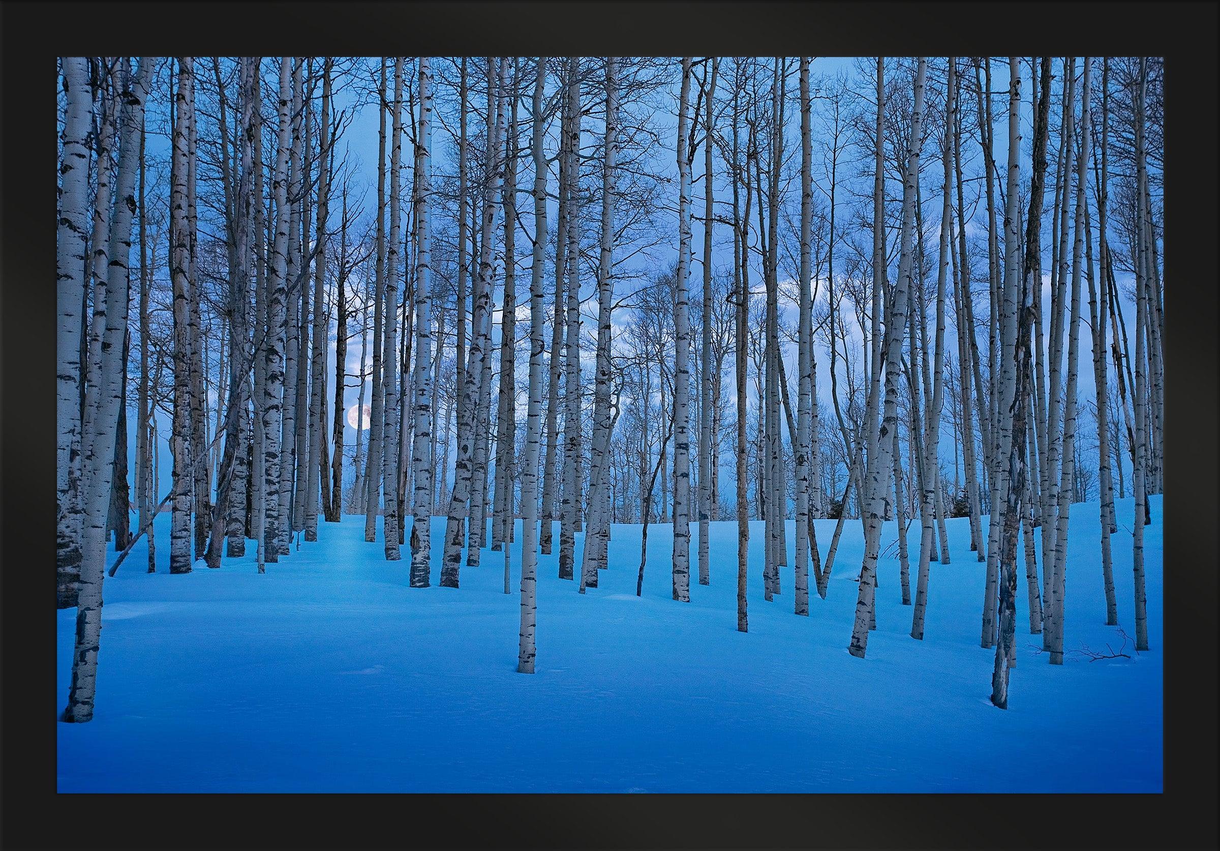 Moonlit Birches Wall Art - Handmade Canvas Painting for Home & Office Decor - Perfect for Living Room, Bedroom, or Gift