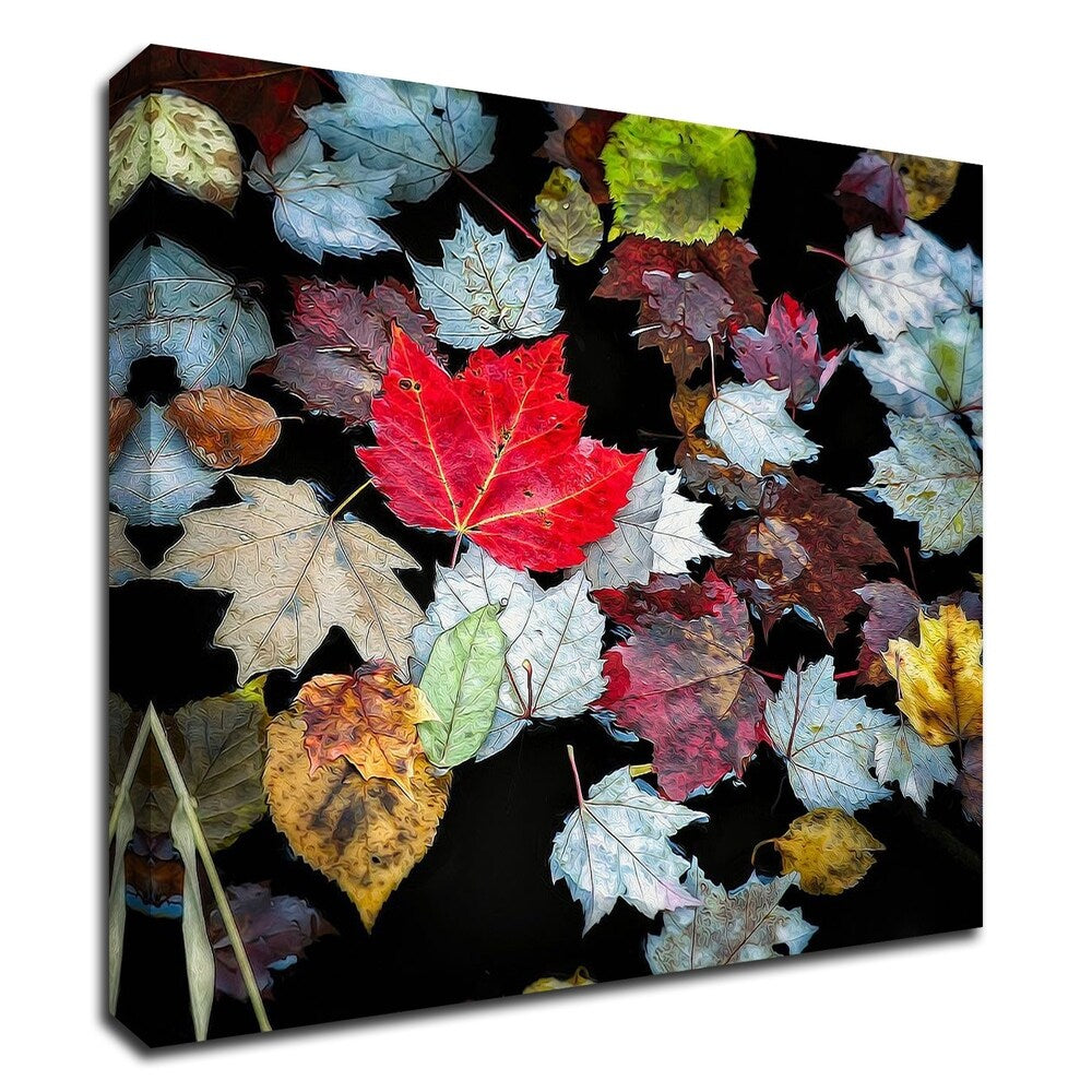 Autumn Leaves by David W. Pollard - Premium Canvas Wall Art Print, Framed & Ready to Hang - Perfect for Living Room, Bedroom, or Office Decor