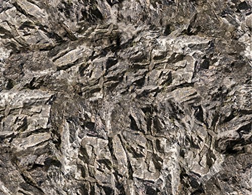Gray Rock