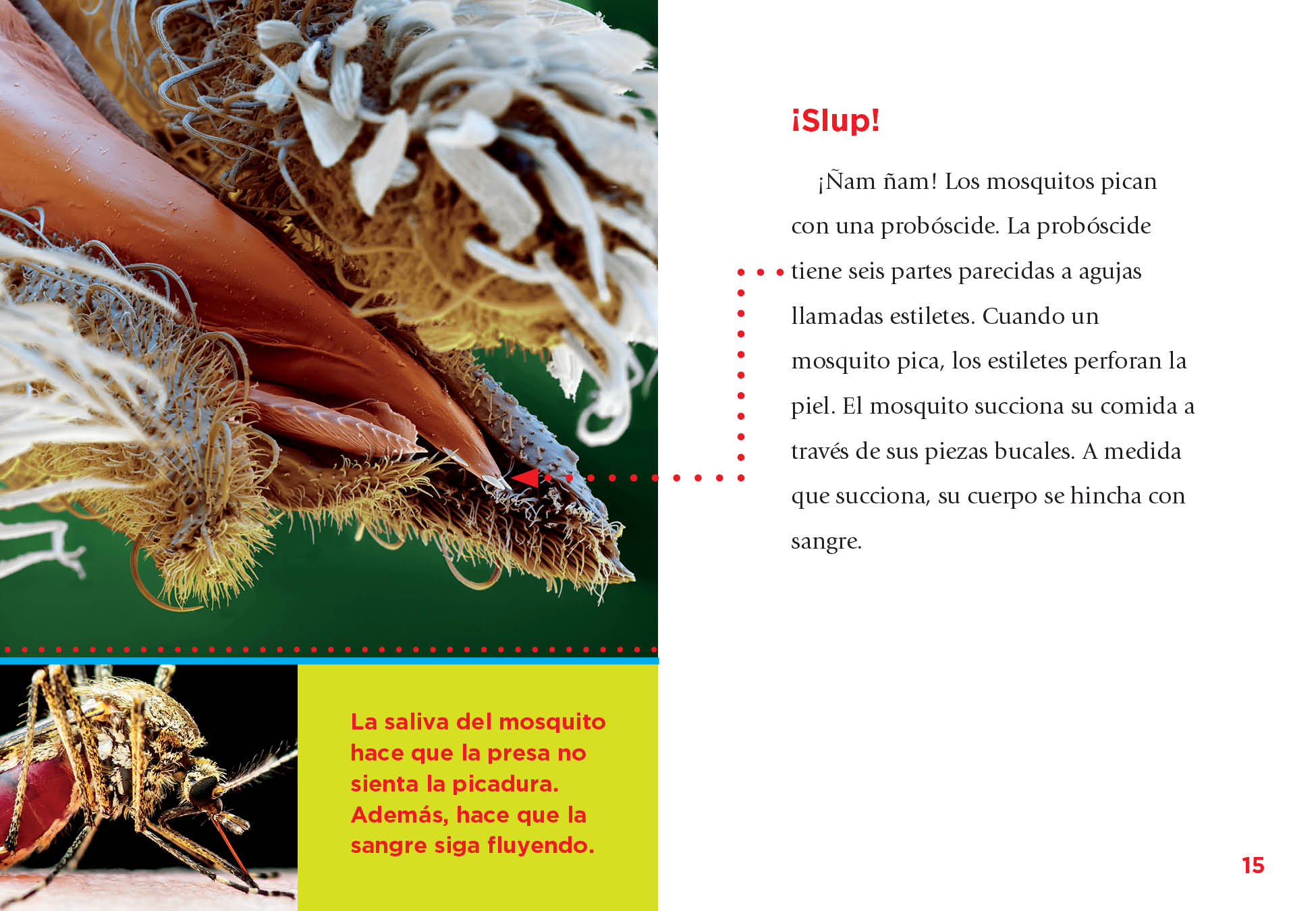 El Mosquito Book 9781623108342 - Spanish Children's Storybook for Bedtime Reading & Early Learning