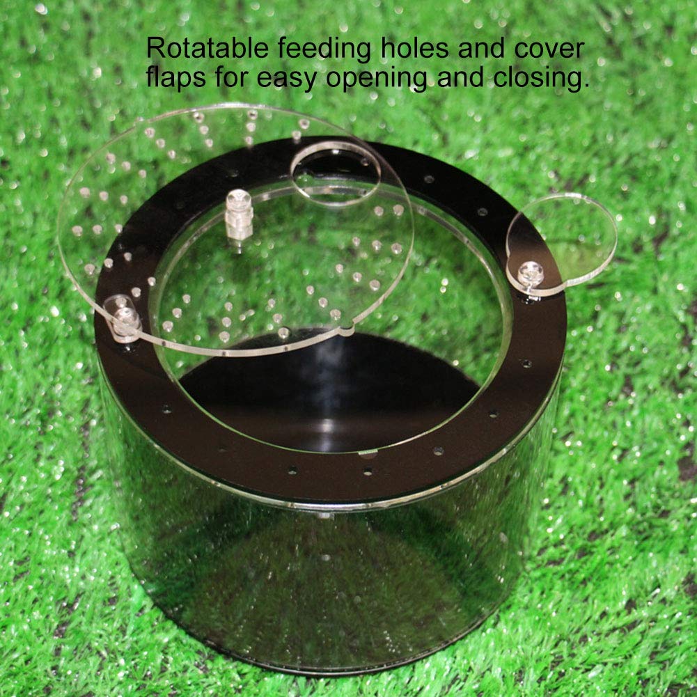 Valentine's Day Gift - Acrylic Rotatable Reptile Feeding Box for Lizards, Spiders & Small Pets - Durable Climbing Pet Food Dish for Terrariums & Habitats - Perfect for Valentine's Surprise & Reptile Enthusiasts
