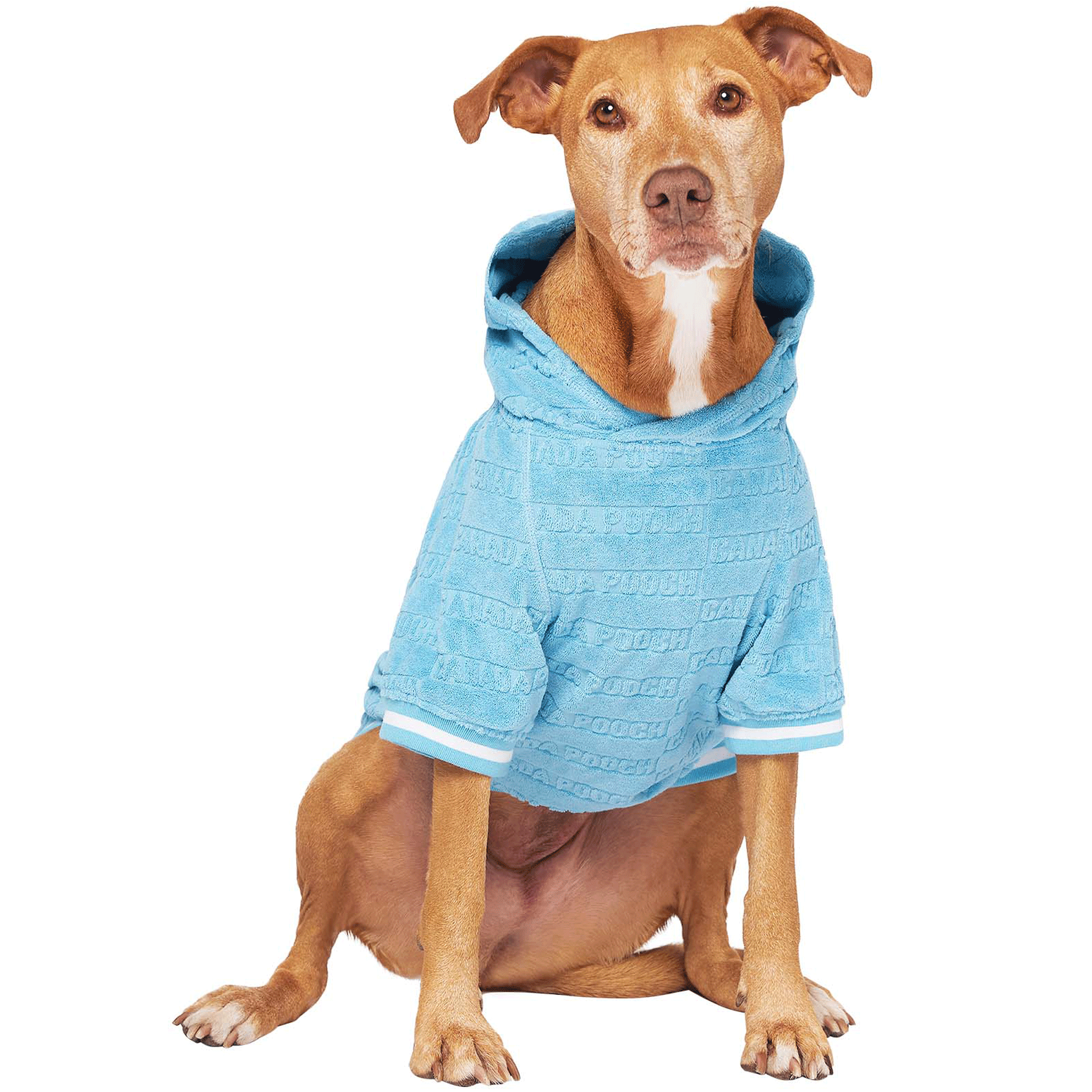 Canada Pooch Beach Bum Towel Hoodie for Dogs - Blue Dog Hooded Towel for Swimming, Bath & Outdoor Adventures - Quick Dry Pet Towel with Hood for Small Medium Large Dogs