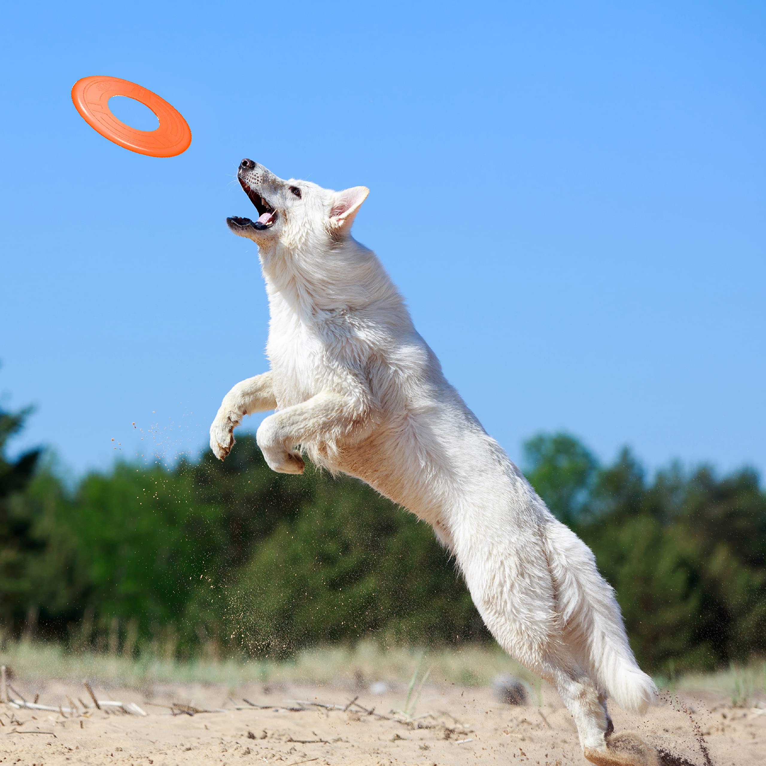 Nerf Dog Atomic Flyer - 10 Inch Durable Rubber Flying Disc Dog Toy for Medium & Large Breeds - Outdoor Fetch Toy for Active Dogs - Perfect for Beach, Park & Backyard Playtime