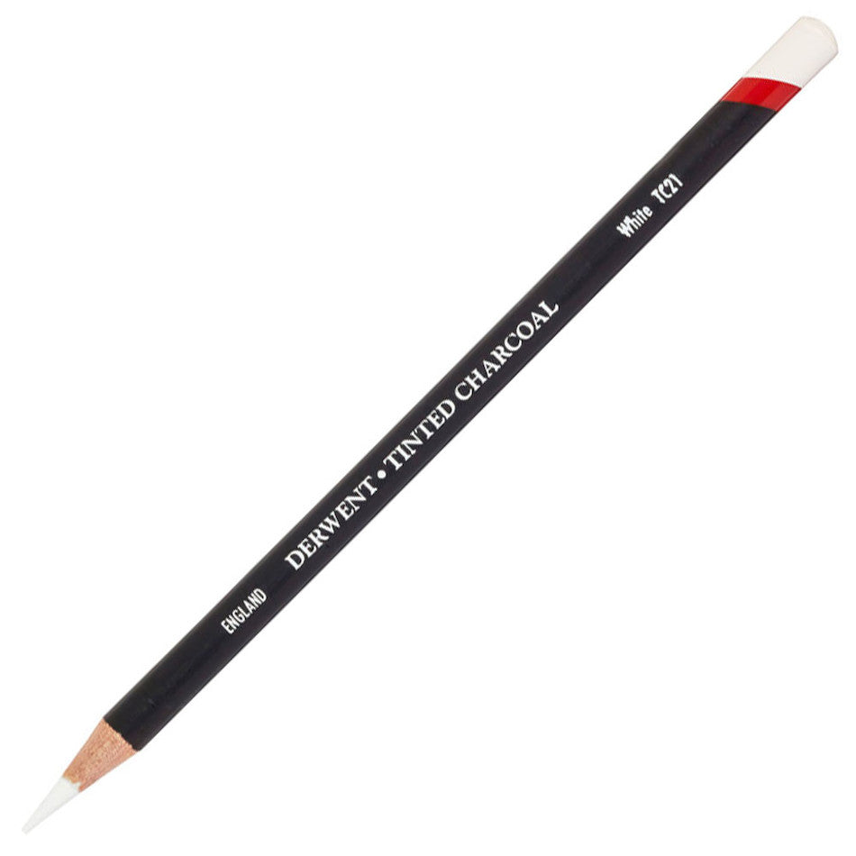 Derwent Tinted Charcoal Pencils Set - 12 Vibrant Colors for Sketching & Drawing | Perfect for Artists, Beginners & Professional Illustrations | Ideal for Portraits, Landscapes & Mixed Media Art