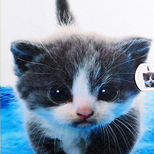 Gray Cat