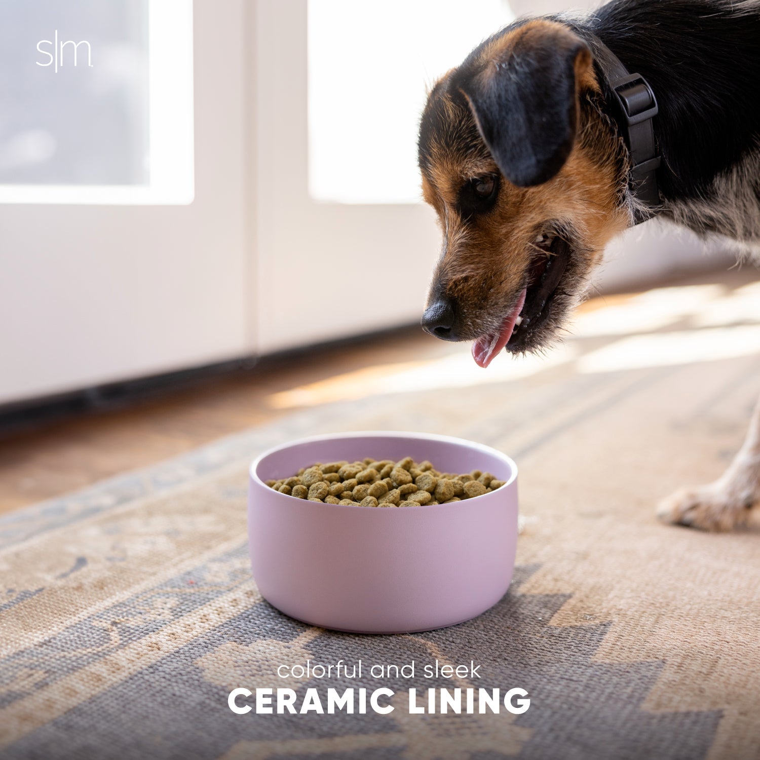 Premium Stainless Steel Bentley Pet Bowl - Non-Slip Raised Dog & Cat Food Dish with Anti-Spill Design - Perfect for Home, Travel & Outdoor Use