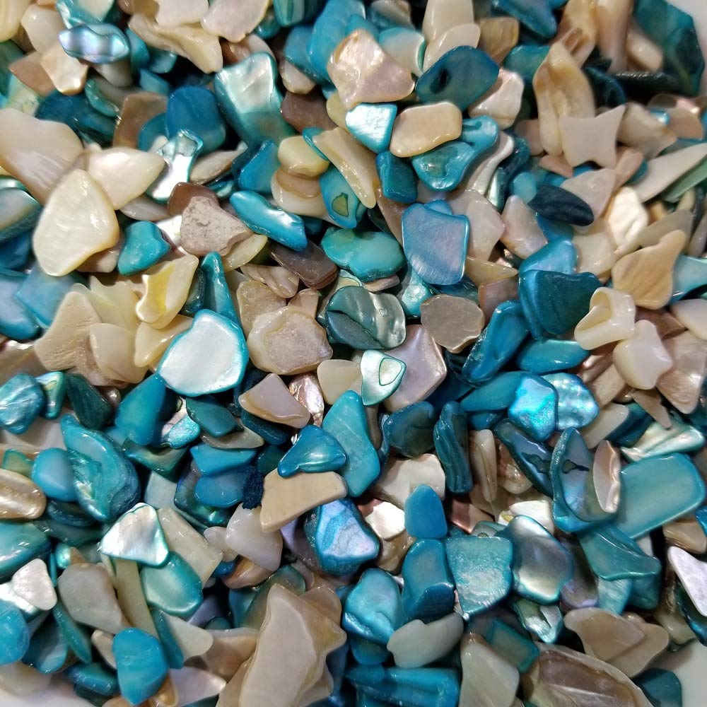 Natural Crushed Seashells for Wedding Decor, Vase Filler, Home Decoration & DIY Crafts - 48oz (3lb) Caribbean Pearl White Beach Shells - Perfect for Beach Theme Parties, Centerpieces and Coastal Home Decor