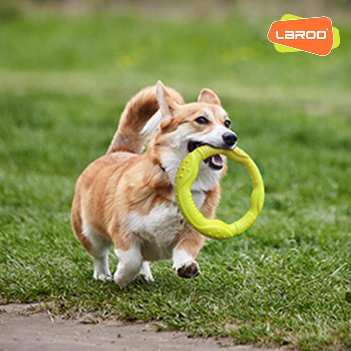 **LaRoo Floating Dog Flying Ring Toy - Durable Outdoor Chew Disc for Medium & Large Dogs - Perfect for Summer Fetch Training & Water Play (Medium Green, 22cm)**