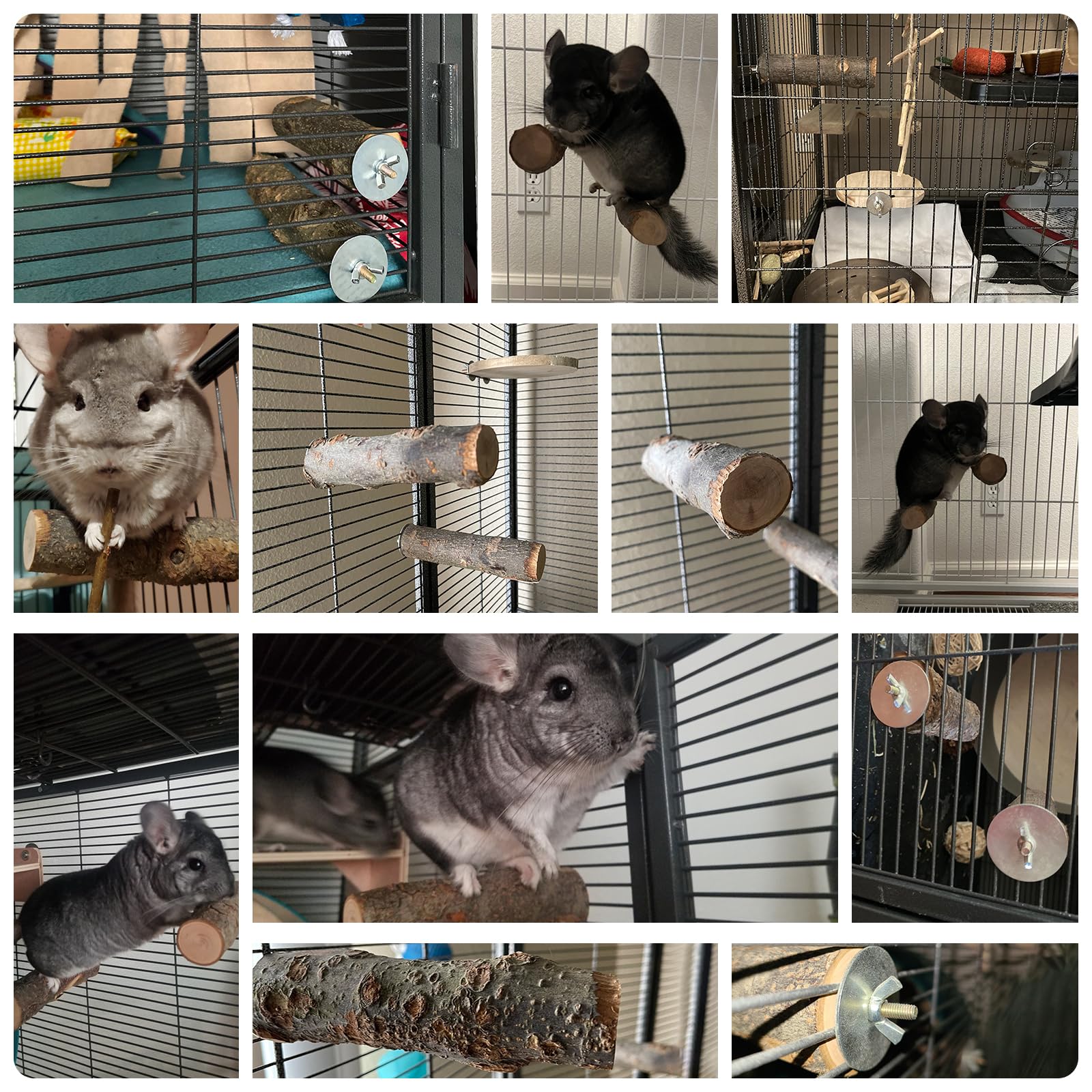 QBLEEV 3 Pack Natural Wood Chew Toys for Hamsters, Chinchillas, Guinea Pigs, Rats, Squirrels & Rabbits - Small Animal Teeth Care & Cage Accessories - Safe Wooden Chew Sticks & Perch Platform for Birds, Parrots & Bunnies - Perfect for Cage Enrichment & Dental Health