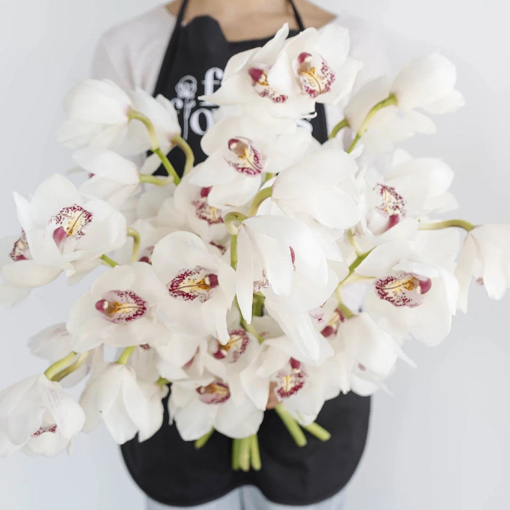 Pink Spotted Lip Cymbidium Orchids - Beautiful Blush-Colored Flowers for Home Decor, Wedding Bouquets & Floral Arrangements