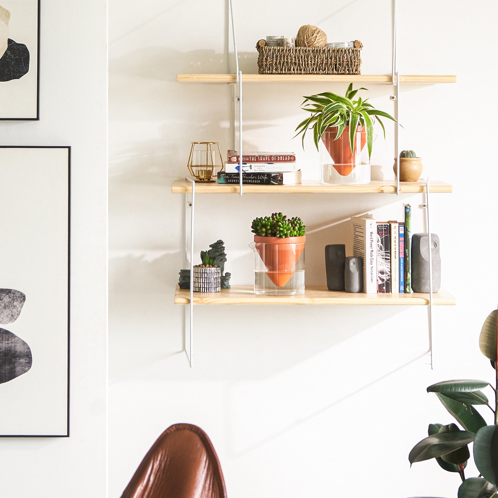 Self Watering Plant Pots for Indoor & Outdoor Plants - Automatic Watering System for Home, Office, Garden - Perfect for Succulents, Herbs, Flowers - Low Maintenance & Stylish Design