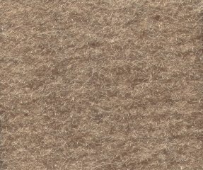 8295-Medium Doeskin Plush Cut Pile