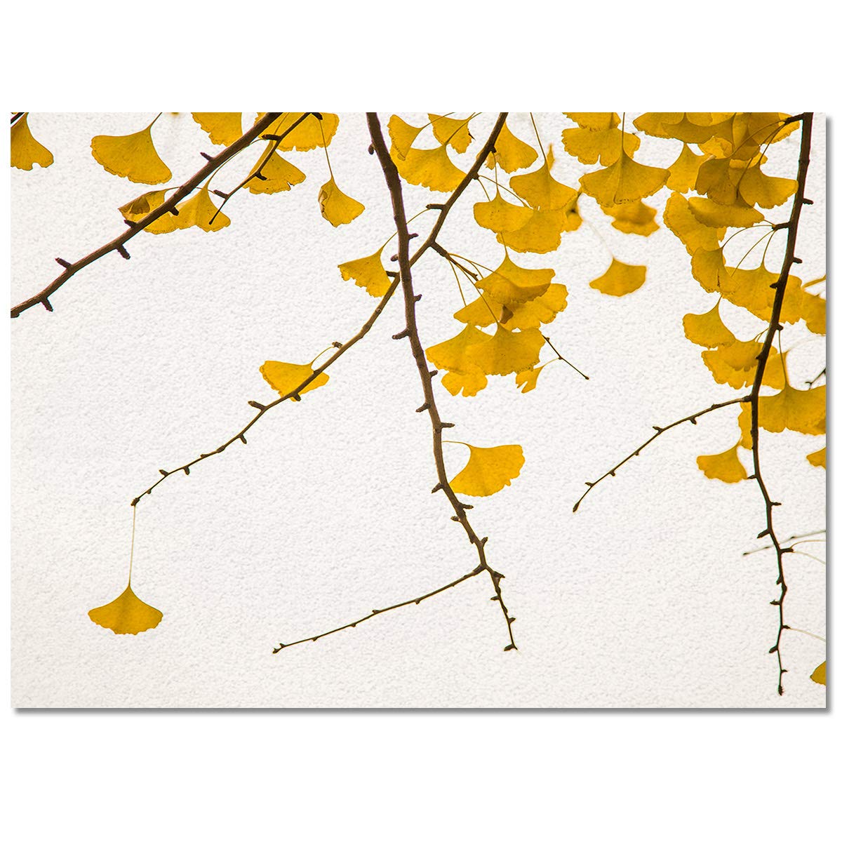Non-Slip Yellow Ginkgo Modern Area Rug - 5x7 Feet Washable Indoor Floor Mat for Bedroom, Kitchen, Dining, Bathroom & Nursery - Fall Decor with Anti-Skid Backing - Perfect for Home, Apartment and Dorm Room Decorating