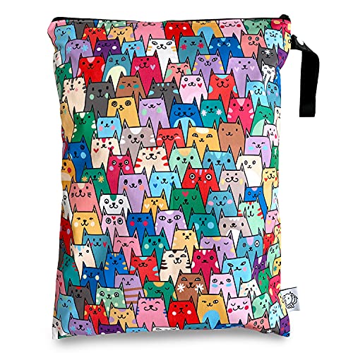 Colorful Cats