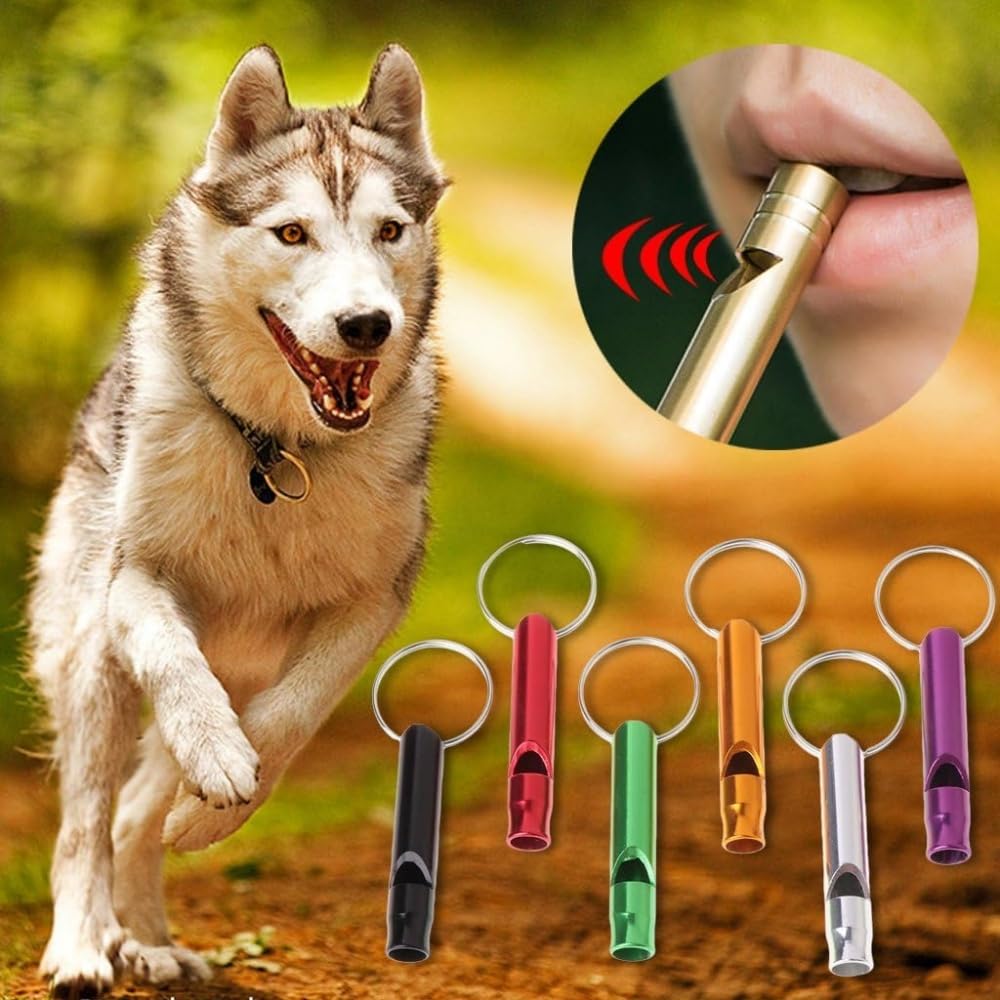 5Pcs Metal Dog Training Whistles for Small & Large Pets - Silent Dog Whistle to Stop Barking & Recall Training | Perfect for Obedience, Hunting & Outdoor Adventures