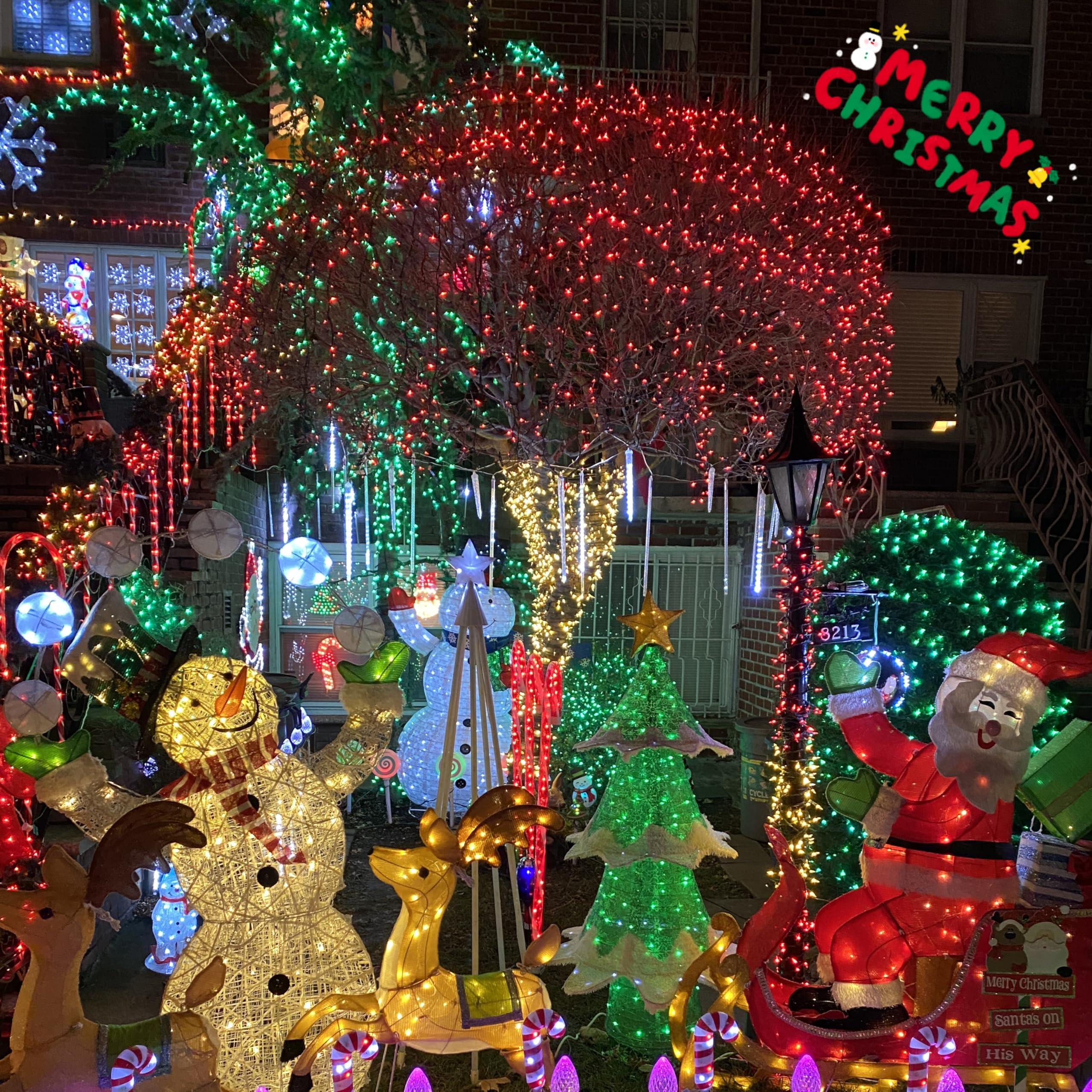 200 LED Red Christmas Lights Outdoor Waterproof - 66ft Green Wire String Lights for Tree & Home Decor
