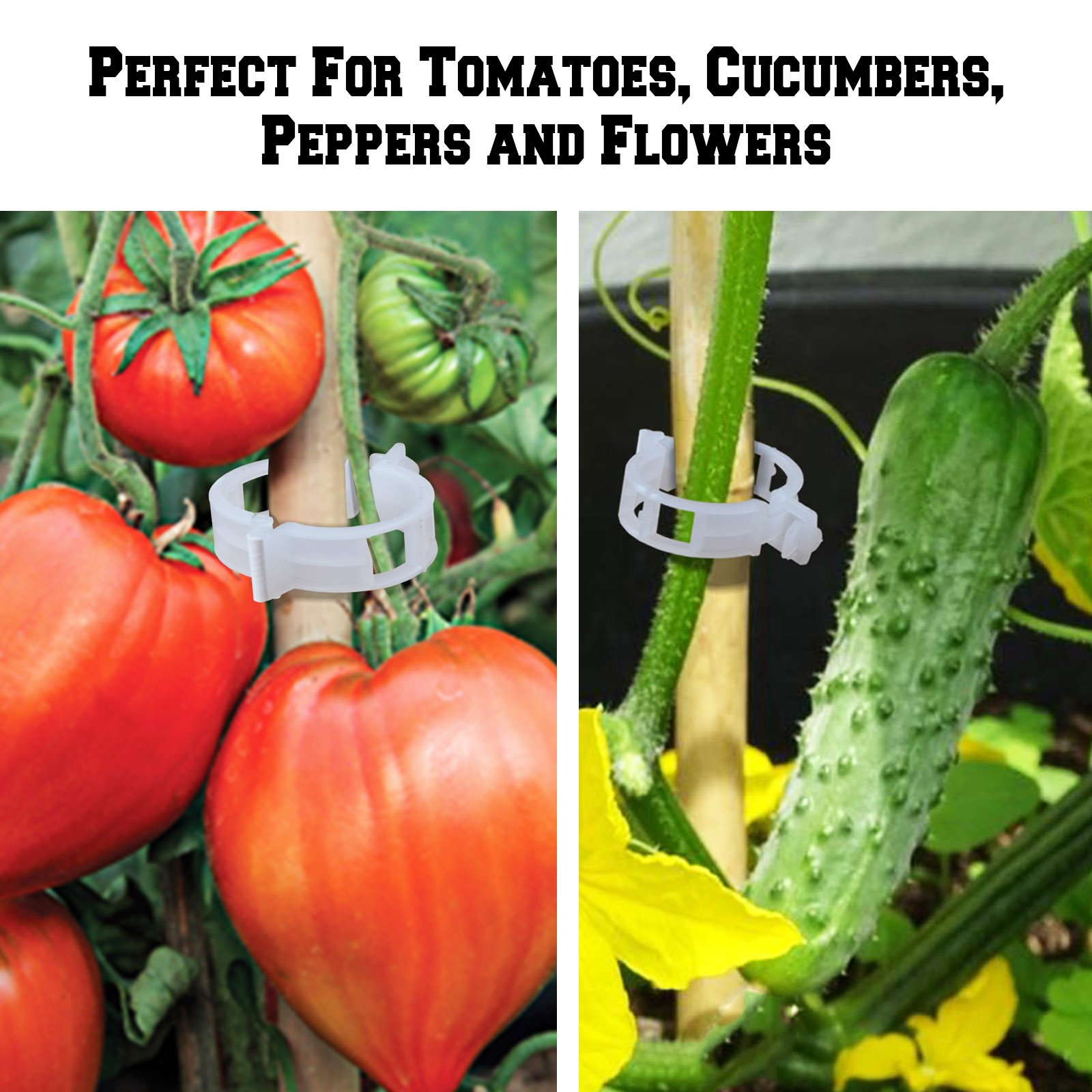 BenefitUSA 25mm Garden Clips - Tomato Trellis Clips for Vine Support, Plant Clips for Vegetables, Tomatoes, and Upright Growth (400 Pack) - Perfect for Home Gardening, Greenhouses, and Vertical Farming