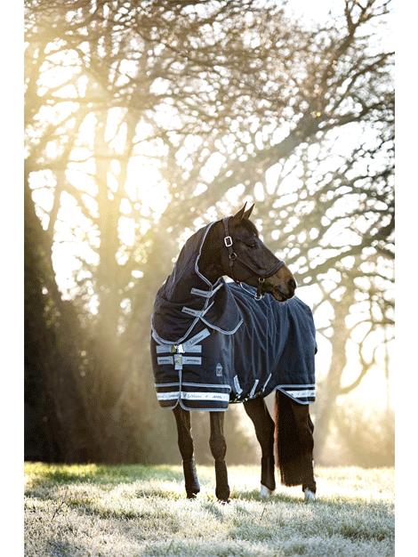 Arika Storm Tek Rug 350g Waterproof Turnout Blanket for Horses - Ideal for Cold Weather Riding and Stable Use