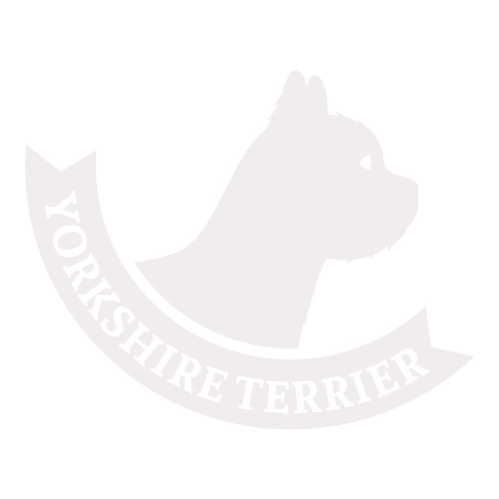 White 5 Inch Yorkshire Terrier Vinyl Decal Sticker - Waterproof for Cars, Laptops, Windows, Home & Office Decor - Perfect Gift for Dog Lovers (Indoor & Outdoor Use)