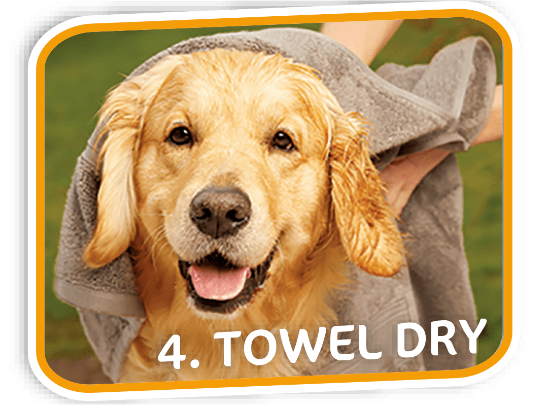 Pet Fresh Wash Mitts - Soft & Absorbent Dog & Cat Grooming Gloves for Bathing, Shedding & Massage - Perfect for Home Pet Care & Professional Grooming