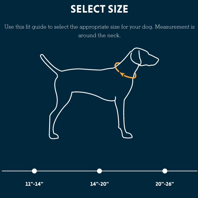 CRAG Collar - Premium Dog Collar for Hiking & Outdoor Adventures | Durable & Adjustable Pet Gear for Active Dogs