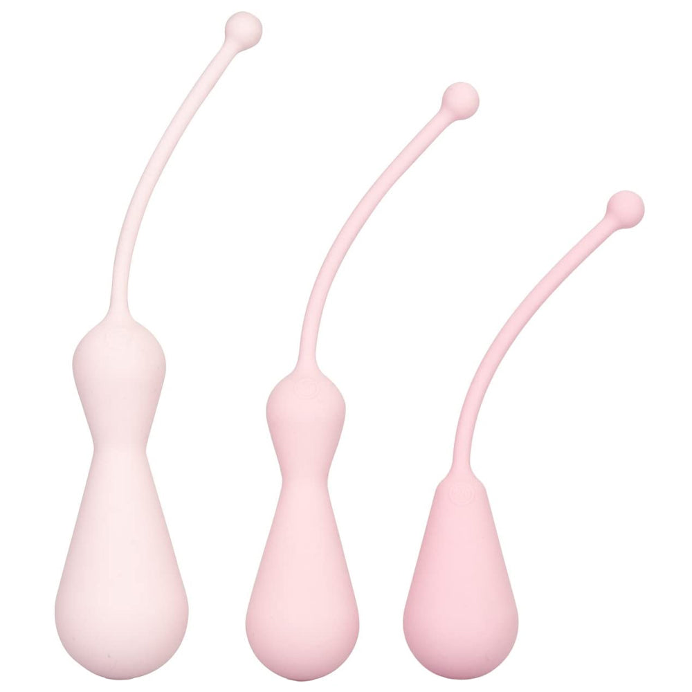 Inspire Weighted Silicone Kegel Exercise Set for Women - Pelvic Floor Trainer for Postpartum Recovery & Bladder Control - Home Workout & Intimate Wellness Kit