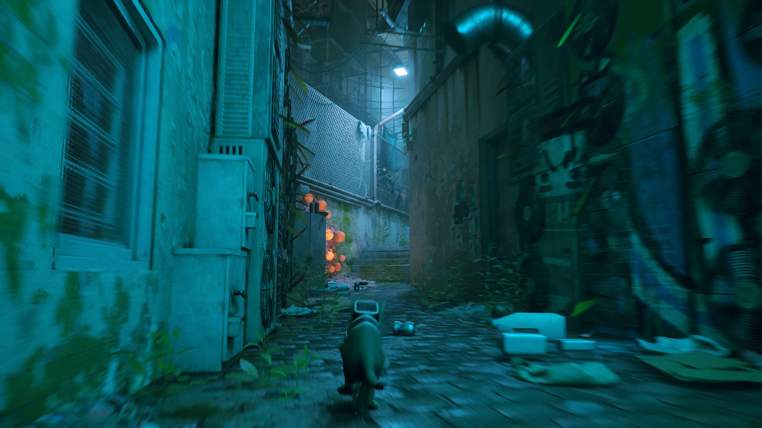 Stray (PS4) - Adventure Game for Cat Lovers | Explore a Futuristic Cybercity with Your Feline Companion | Perfect for Gamers & Cat Enthusiasts