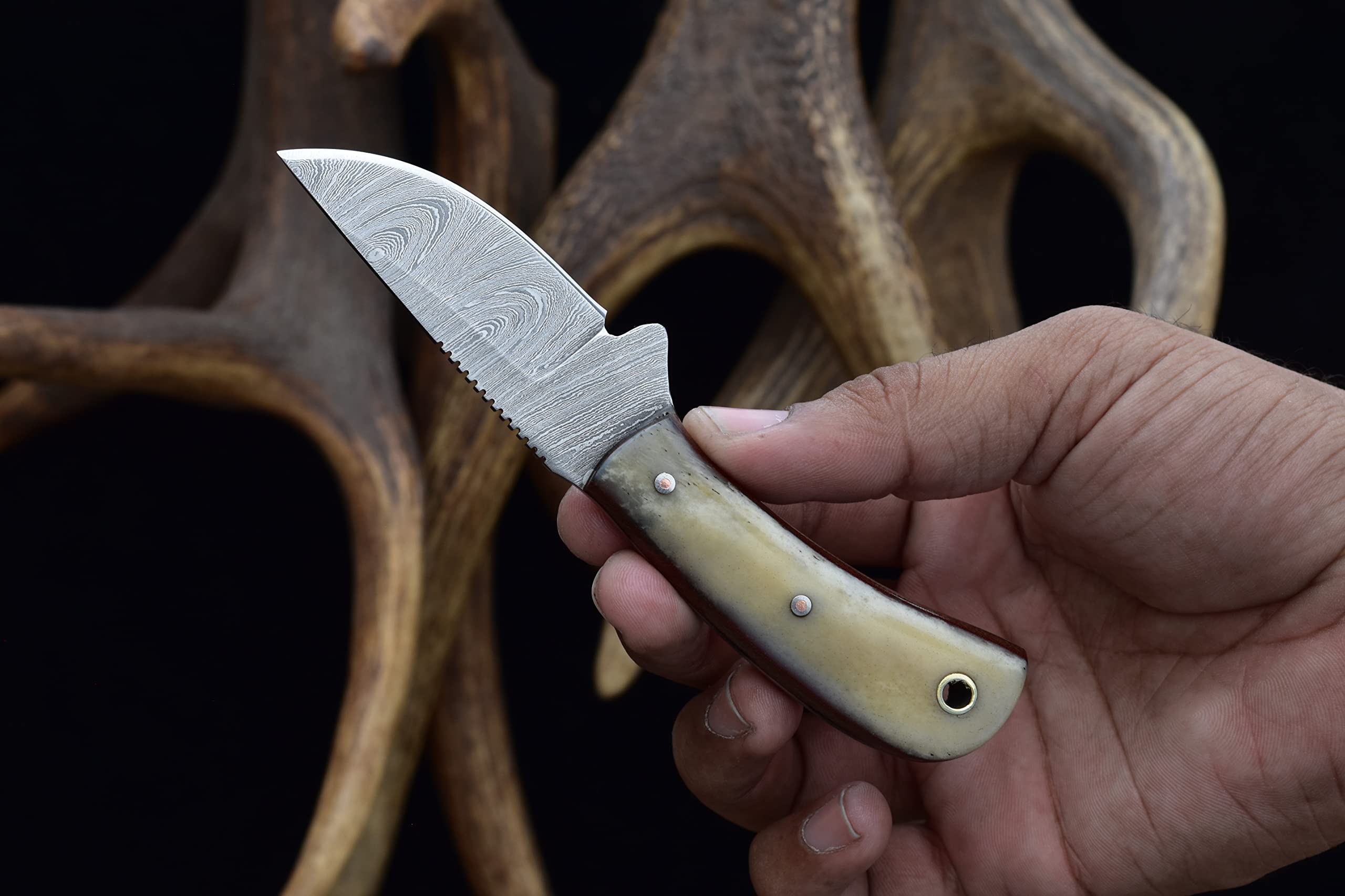 Ranch Fixed Blade EDC Skinning Knife with Cattle Bone Handle - Heavy Duty Horizontal Carry Sheath (2006-B) - Perfect for Hunting, Camping & Outdoor Survival