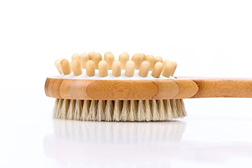 100% Natural Boar Bristle Dry Body Brush for Exfoliation & Skin Renewal - Long Handle Wooden Back Scrub Brush for Shower, Spa & Lymphatic Massage - Remove Dead Skin Cells & Improve Circulation