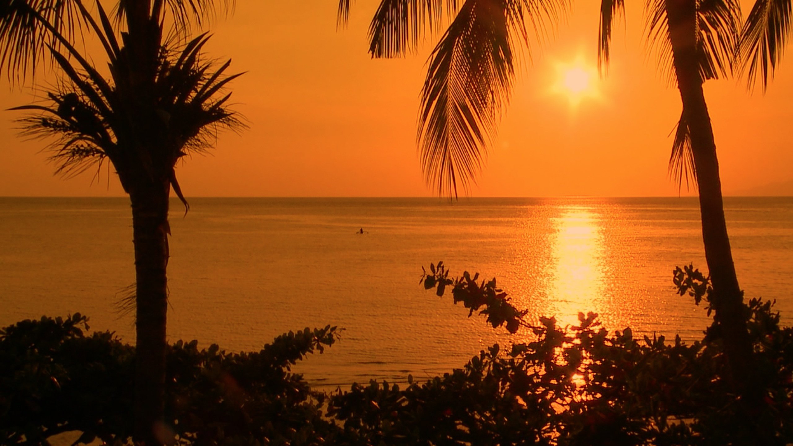 Relaxation DVD - HD Paradise Beaches with Soothing Nature Sounds | Perfect for Yoga, Meditation & Stress Relief at Home