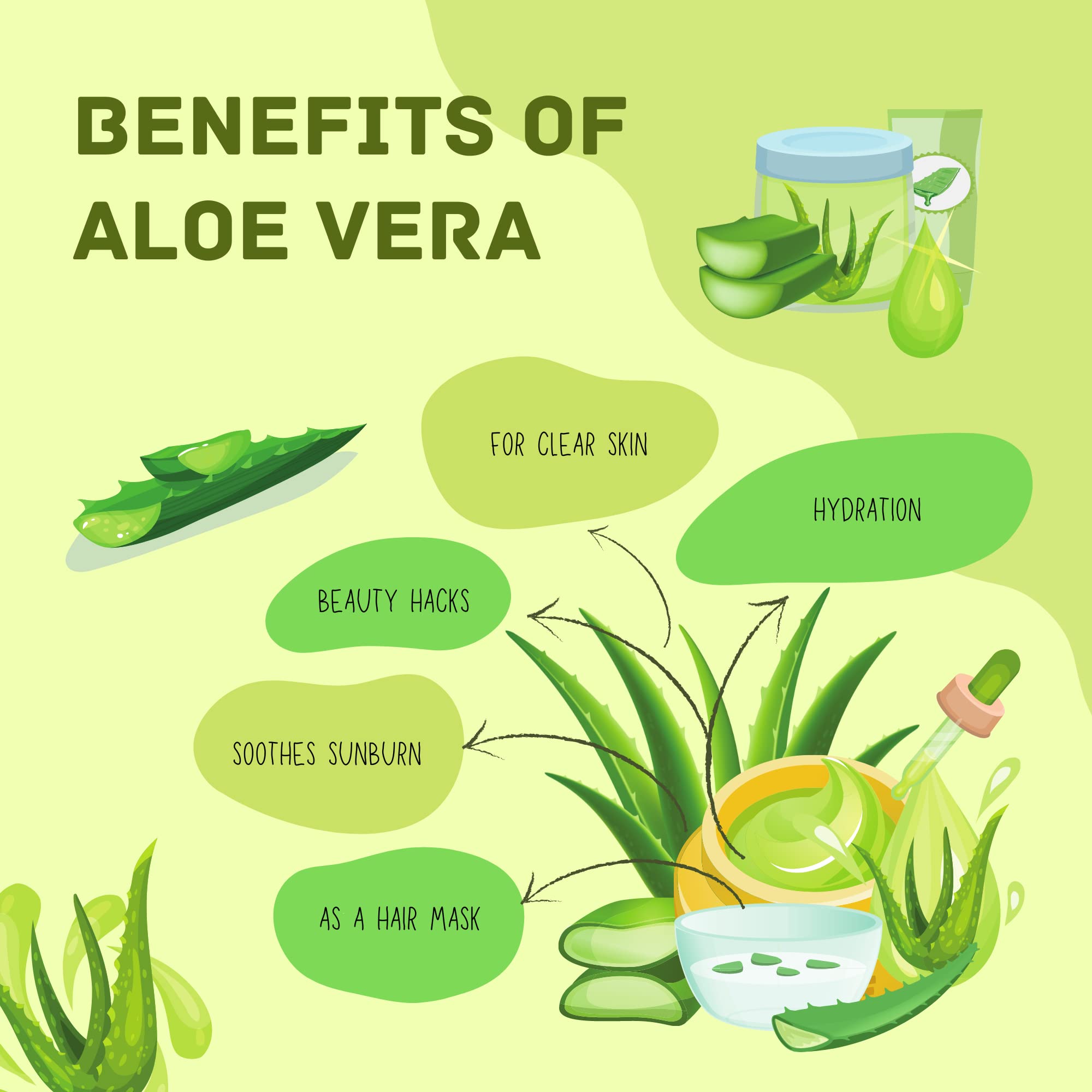 Havintha 100% Pure Aloe Vera Powder for Hair Growth & Skin Care - 8oz (227g) | Organic Face Wash, Scalp Treatment & DIY Beauty Recipes | Promotes Healthy Hair & Glowing Skin