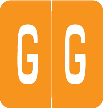 VRAM Compatible File Folder Labels - Letter G, 1.3x1.25
