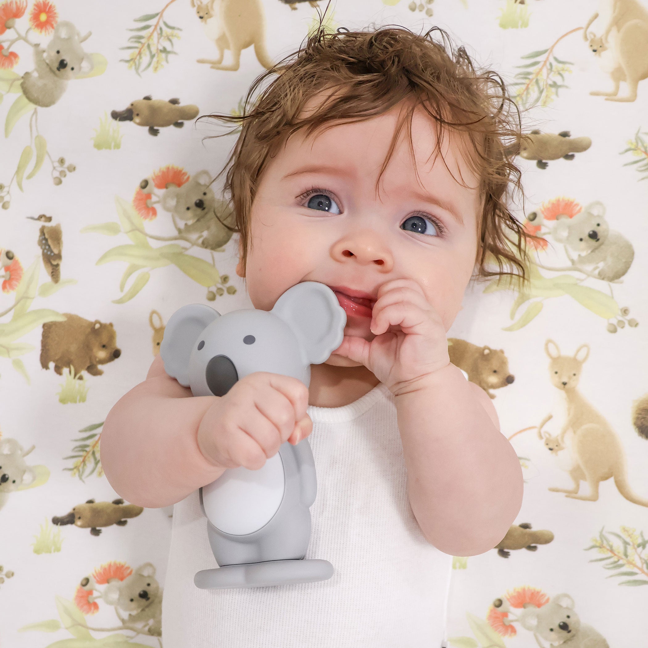 Aussie Animals Bubba Koala Silicone Teething Toy for Babies - Safe & Soft Grey Teether for Soothing Sore Gums - Perfect for Travel, Daycare & On-the-Go Parenting