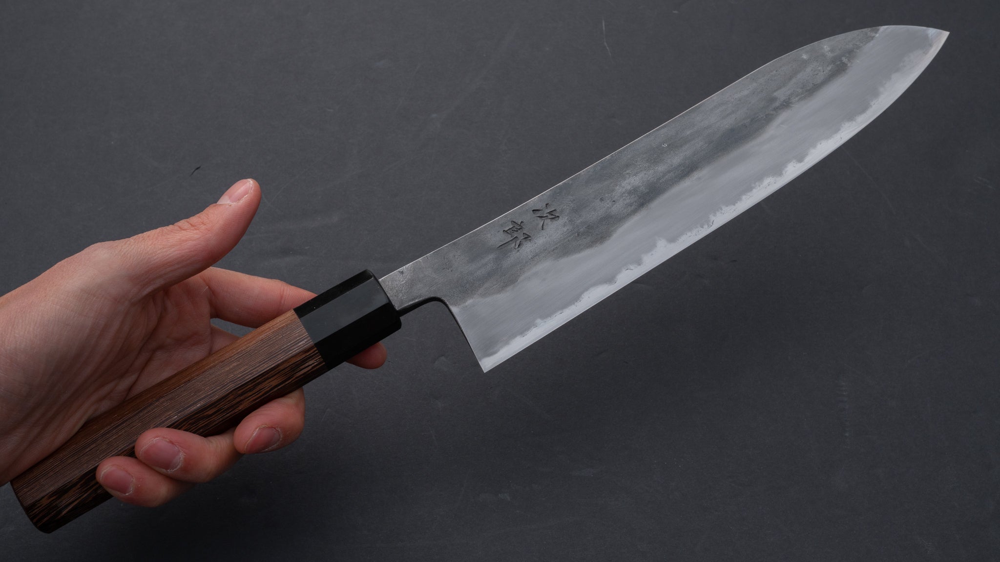 Premium Jiro Tsuchime Wa Gyuto 240mm Japanese Chef Knife with Taihei Tagayasan Handle - Professional Kitchen Knife for Sushi, Meat Cutting & Precision Cooking (Limited Discount #055)