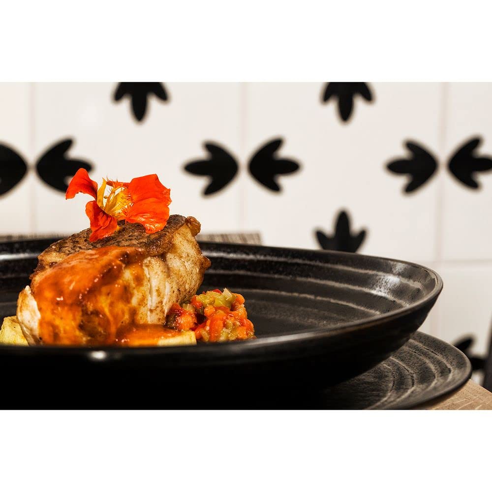 Exuberant Stoneware Dinner Plates Set of 4 - Casa Alegre Colorful Ceramic Plates for Everyday Dining & Entertaining - Perfect for Family Meals, Dinner Parties & Restaurant-Style Presentation