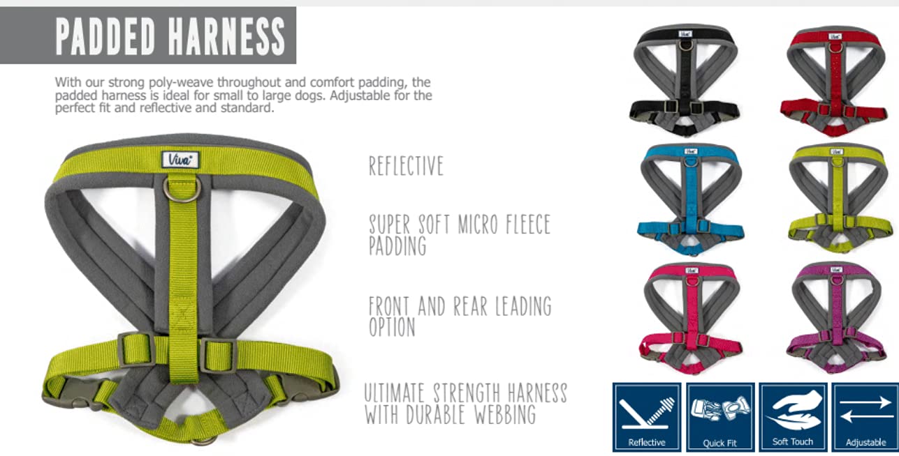 Ancol Viva Padded Strong Dog Chest Harness - Medium Size, Lime Green - Comfortable & Secure Walking Harness for Medium Dogs - Perfect for Outdoor Adventures, Training & Daily Walks