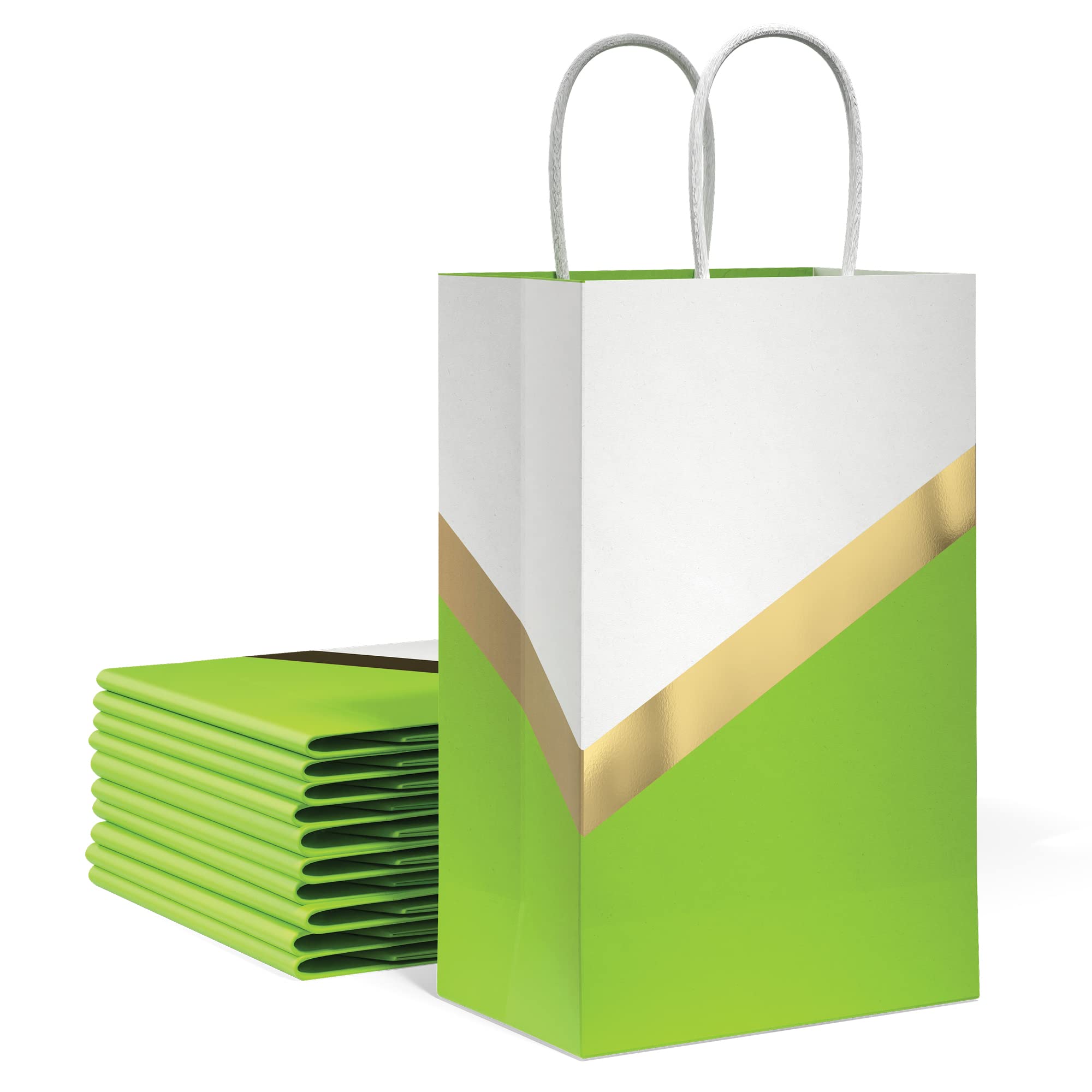 Luxury Designer Gift Bags with Handles - Assorted Sizes & Colors (8