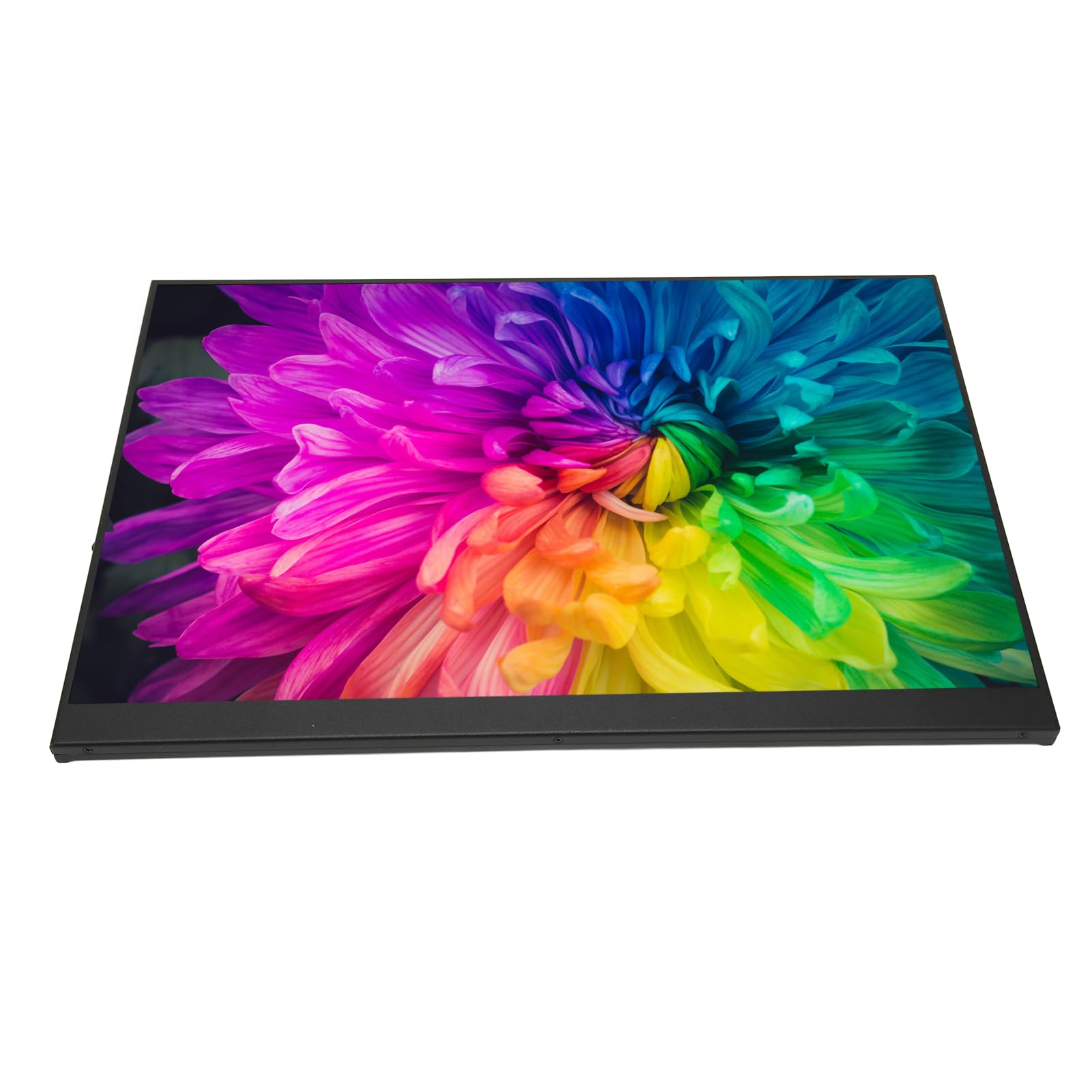 Portable Touchscreen Monitor 15.6