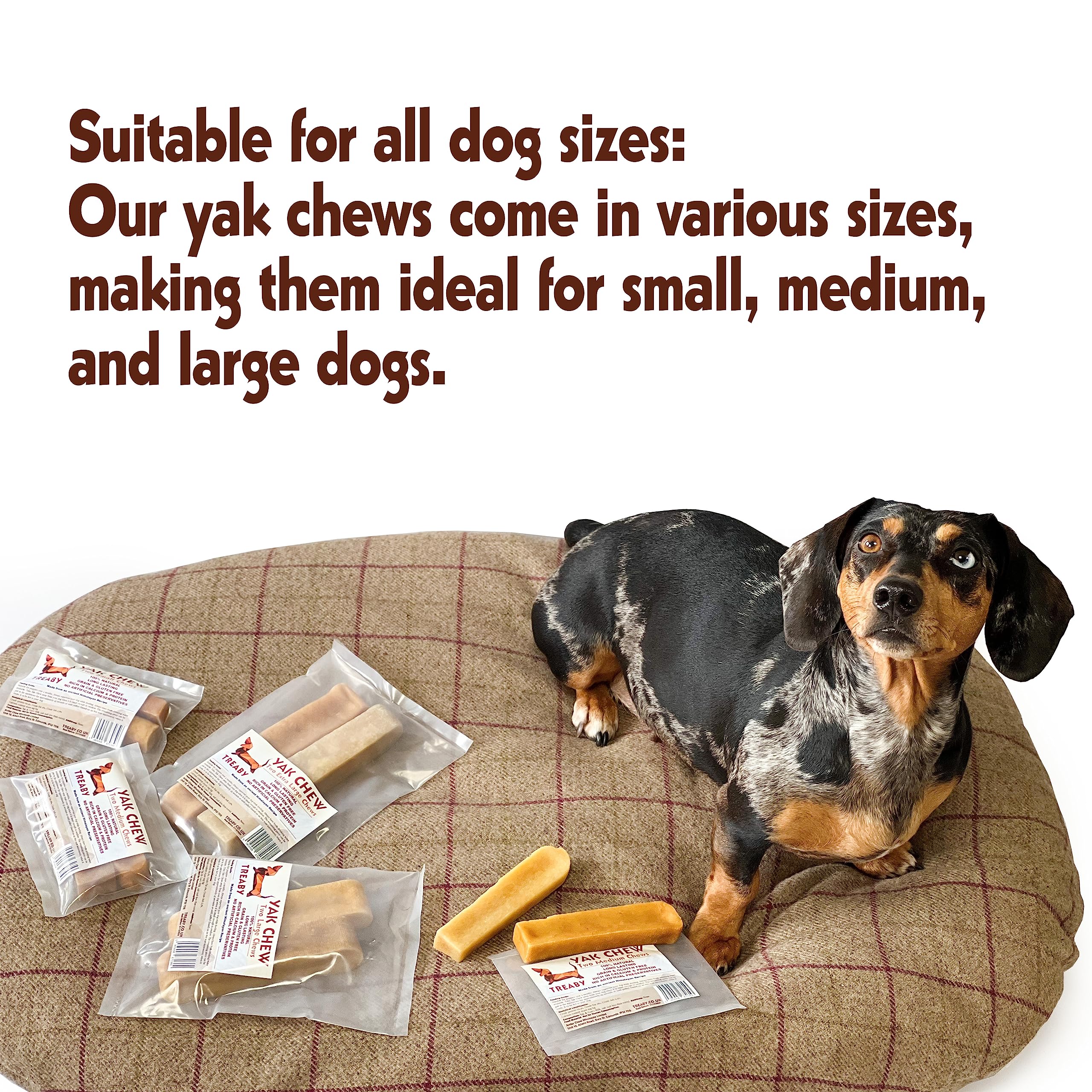 Treaby Himalayan Yak Chews for Dogs & Puppies - Natural Yak Milk Dental Sticks for Teeth Cleaning & Bone Health - Long Lasting Dog Treats for Aggressive Chewers - Perfect for Training, Teething & Dental Care