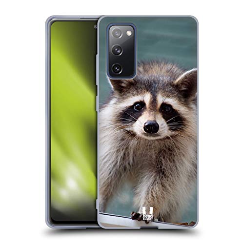 Baby Raccoon