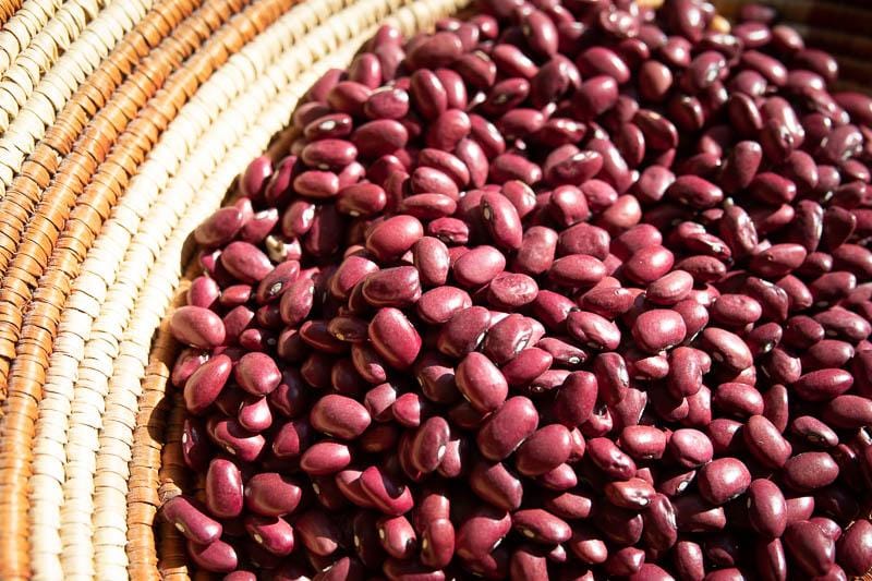 Premium Rancho Gordo Hidatsa Red Beans 1 lb | Organic Heirloom Beans for Soups, Stews & Chili | Non-GMO, Gluten-Free, Vegan Protein Source