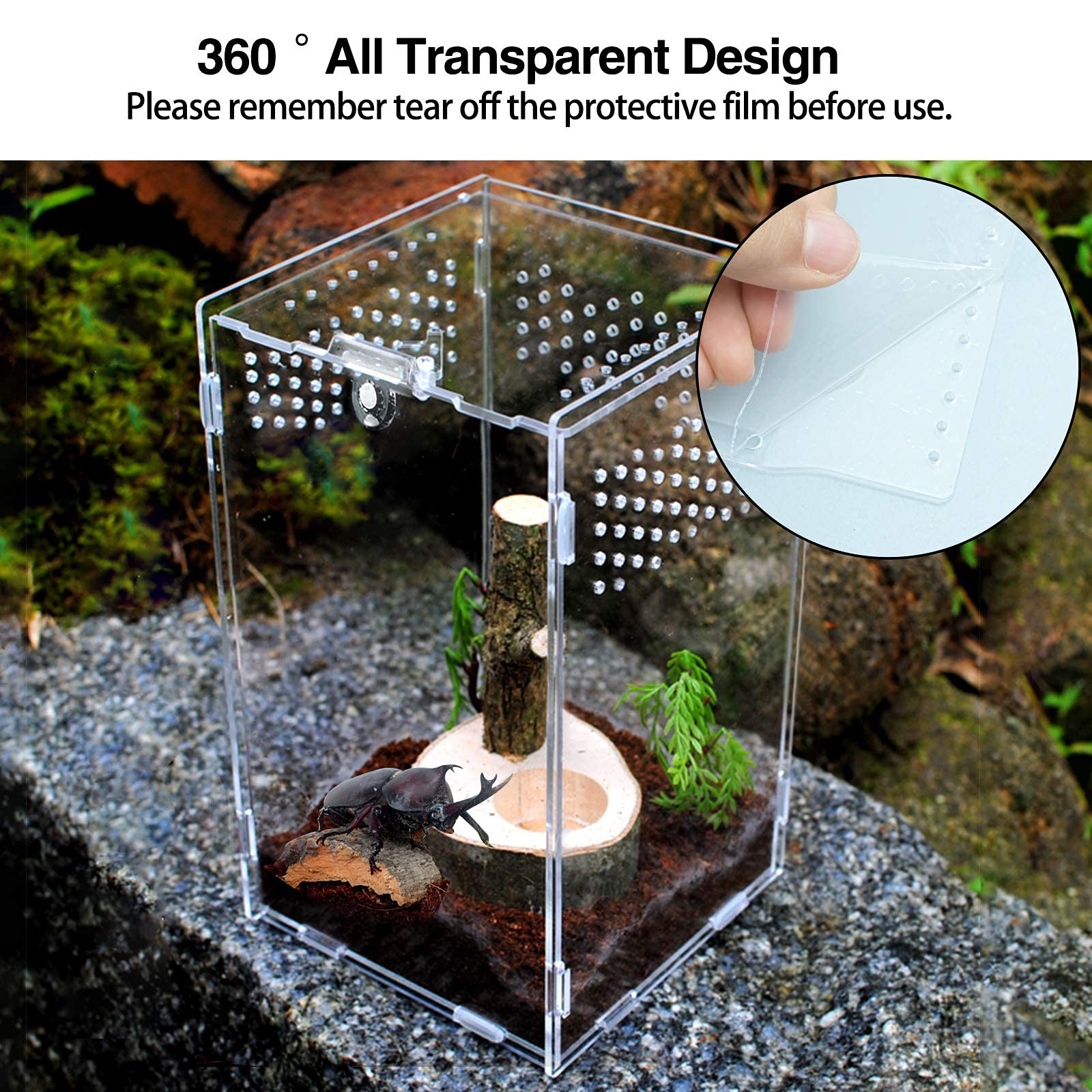 Acrylic Reptile Feeding Box & Terrarium Enclosure - Insect Breeding Habitat for Mantis, Spider, Cricket, Tarantula, Lizard, Scorpion, Geckos | Perfect for Pet Reptile Care & Insect Observation